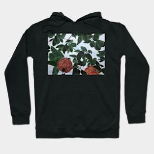 Appletree Hoodie